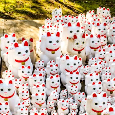 Gotokuji Temple the Tokyo cat temple maneki neko