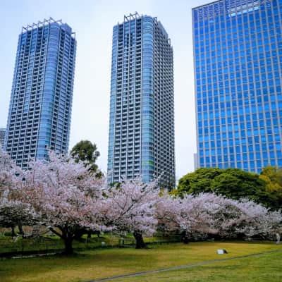 Hamarikyu Gardens image