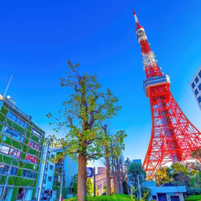 Tokyo Tower observation deck, Tokyo Tower iconic symbol of Tokyo
