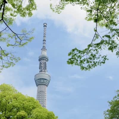 Tokyo Skytree, tallest building in Japan