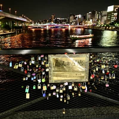 Sumida River Walk image