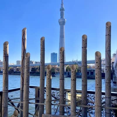 Sumida River Walk image