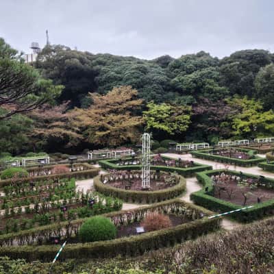 Kyu-Furukawa Gardens image