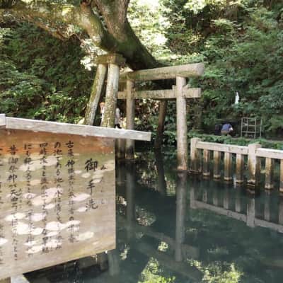 Mitarashi Pond image
