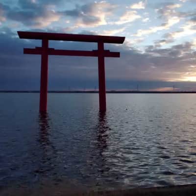 Kashima Shrine West Torii image