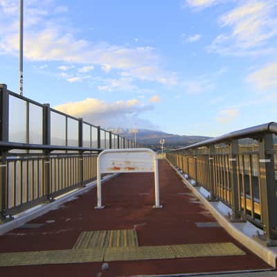 Fujisan Yume No Ohashi Bridge image