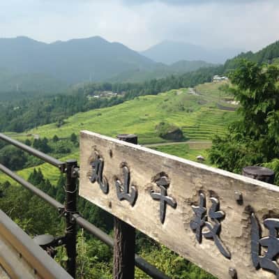 Maruyama Senmaida image