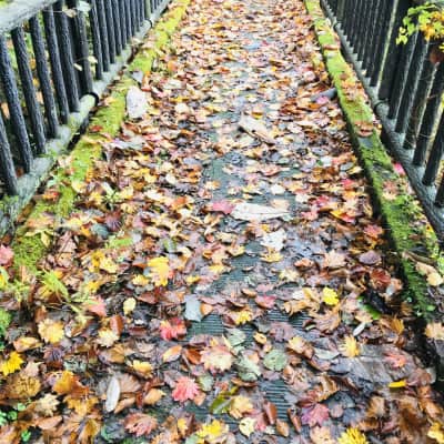 Takimi Bridge Lake Akan - Best autumn spots Lake Akan