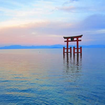 Shirahige Shrine Lake Biwa - Lake Biwa torii gate photo spot