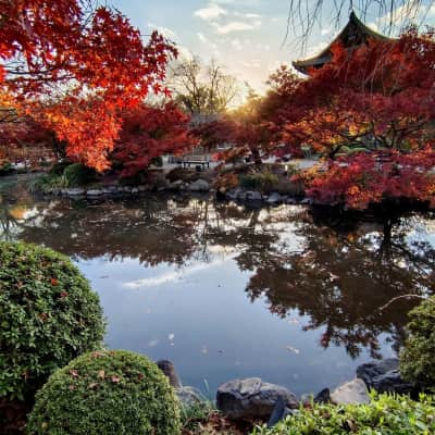 To-ji Temple image