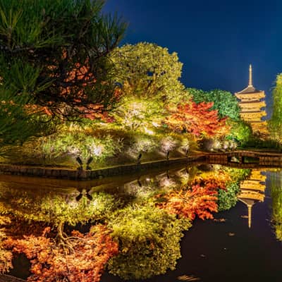 To-ji Temple Kyoto - tallest wooden pagoda in Japan and UNESCO heritage temple