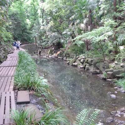 Todoroki Ravine image