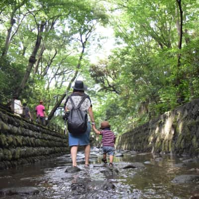 Todoroki Ravine Valley Tokyo - Hidden oasis in Tokyo
