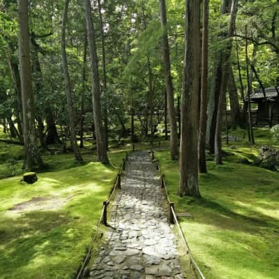 Kokedera Moss Temple image