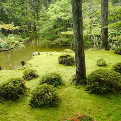 Kokedera Moss Temple image