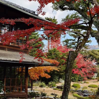 Murin-an Garden image