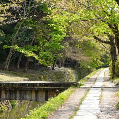 Philosopher’s Path Kyoto - Tetsugaku no Michi Kyoto walking path