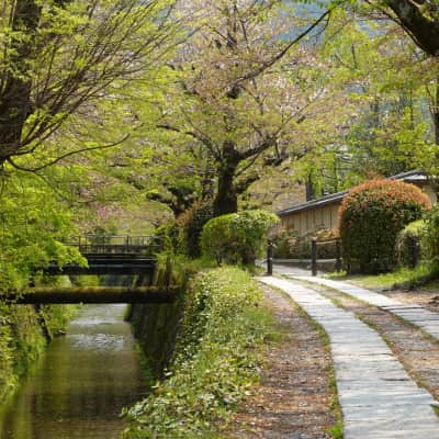 Philosopher’s Path Kyoto - Tetsugaku no Michi Kyoto walking path