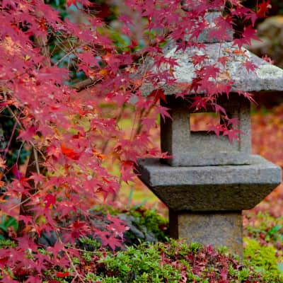 Genkō‑an Temple Kyoto - Window of Enlightenment Zen temple