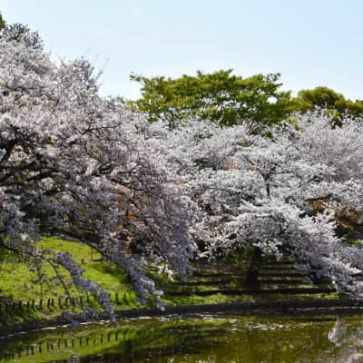 Tsurumi Ryokuchi Park image