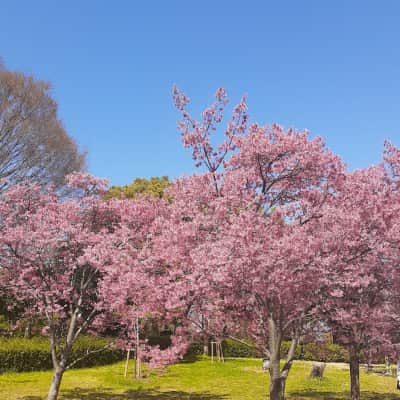 Tsurumi Ryokuchi Park image