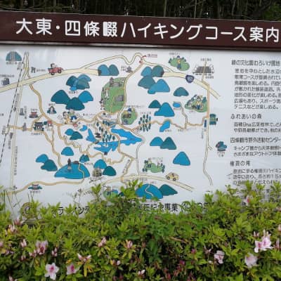 Hoshi no Buranko Bridge image