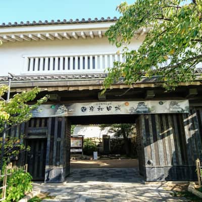 Kishiwada Castle image
