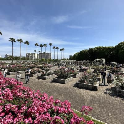 Nagai Botanical Garden image