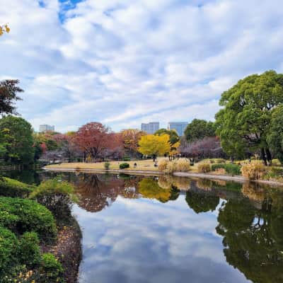 Kita-no-maru Park image