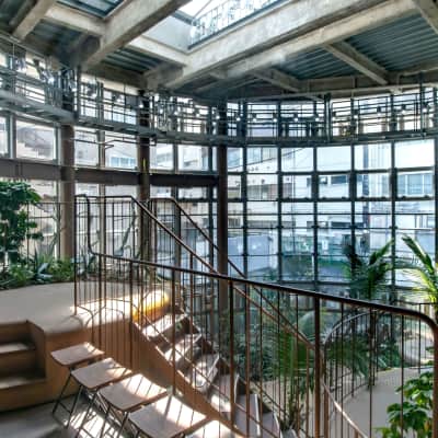 Indoor botanical garden with lush tropical plants in a compact greenhouse