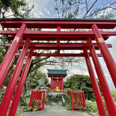 Hamamatsu Castle image