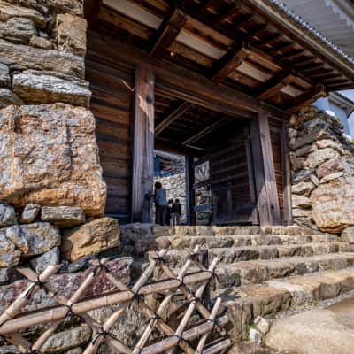 Hamamatsu Castle rising above historic stone walls and seasonal trees in Hamamatsu Castle Park, with cherry blossoms, walking paths, and panoramic city views creating a classic Japanese castle atmosphere in Shizuoka Prefecture.