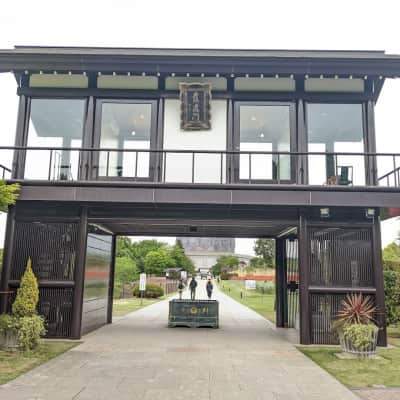 Ushiku Daibutsu image