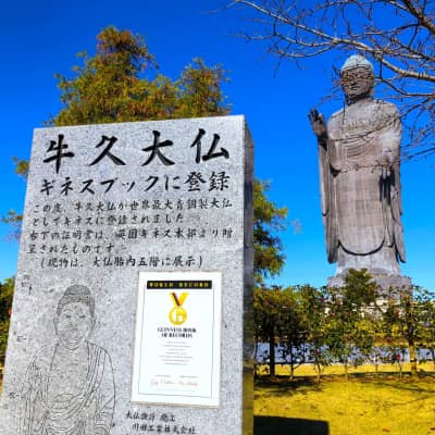 A colossal bronze Buddha statue towering above seasonal gardens and walking paths at Ushiku Daibutsu in Ibaraki, Japan, with visitors exploring the temple grounds beneath clear skies.