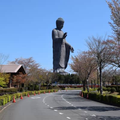 A colossal bronze Buddha statue towering above seasonal gardens and walking paths at Ushiku Daibutsu in Ibaraki, Japan, with visitors exploring the temple grounds beneath clear skies.