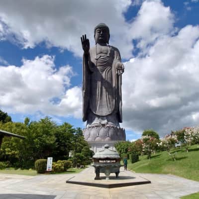 A colossal bronze Buddha statue towering above seasonal gardens and walking paths at Ushiku Daibutsu in Ibaraki, Japan, with visitors exploring the temple grounds beneath clear skies.