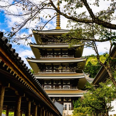 The towering Echizen Daibutsu seated inside the grand Great Buddha Hall of Daishizan Seidaiji Temple, surrounded by thousands of smaller Buddha statues and intricate Buddhist architecture in Katsuyama, Fukui Prefecture, Japan.