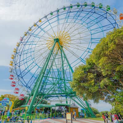 Hitachi Seaside Park image