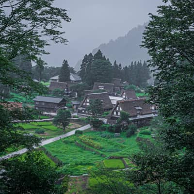 Alt text: Traditional gassho-zukuri thatched-roof houses in Ainokura Village, a UNESCO World Heritage Site in Toyama Prefecture, surrounded by forested mountains and peaceful rural scenery.