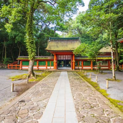 Traditional vermilion shrine buildings of Usa Jingu framed by lush greenery and centuries-old trees.