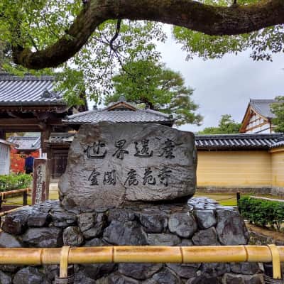 Kinkaku-ji Golden Pavilion image