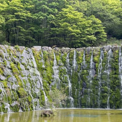 Yamanakako Hana no Miyako Park image
