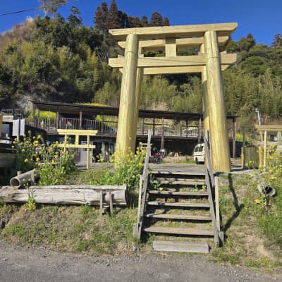 Lake Ikeda Golden Torii Gate image