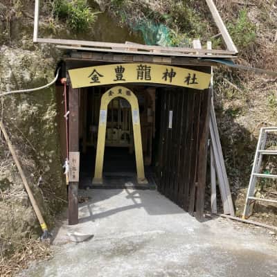 Lake Ikeda Golden Torii Gate image