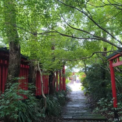 Jintoku Inari Shrine image
