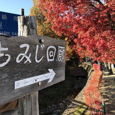 Kawaguchiko Maple Corridor image