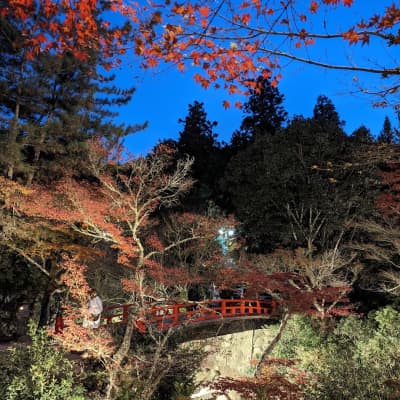 Momijidani Park image