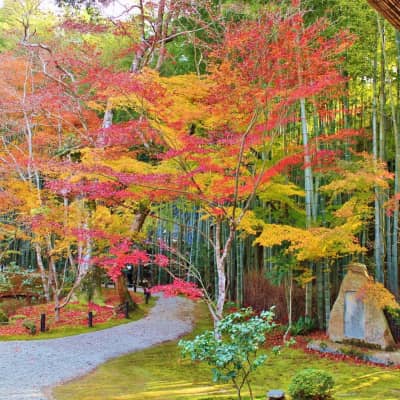 Zen garden and traditional temple buildings at Enkoji Temple in Kyoto