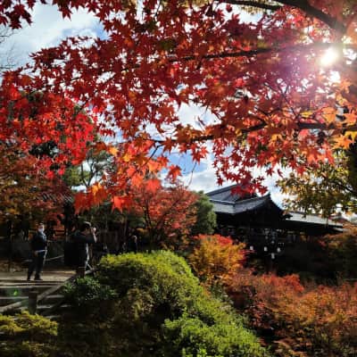 Tofuku-ji Temple image