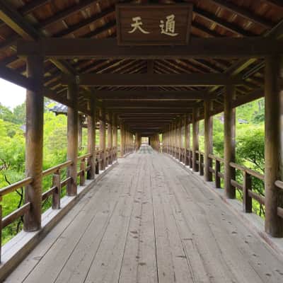 Tofuku-ji Temple image